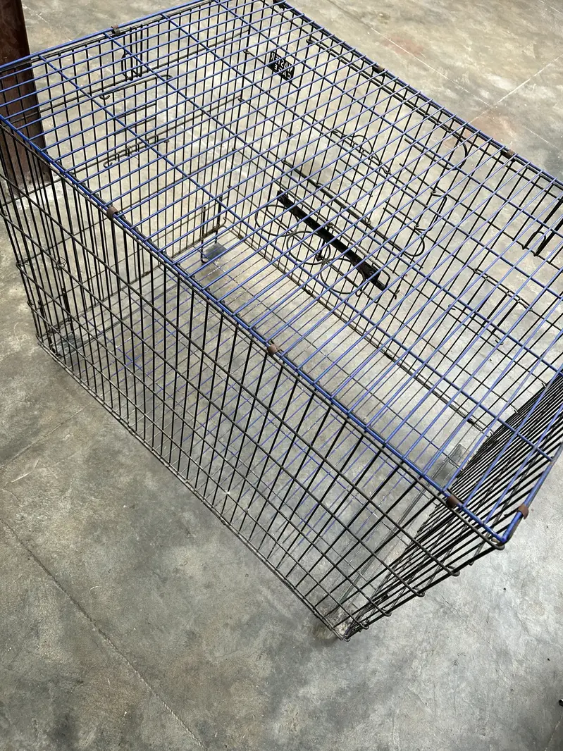 Master cage