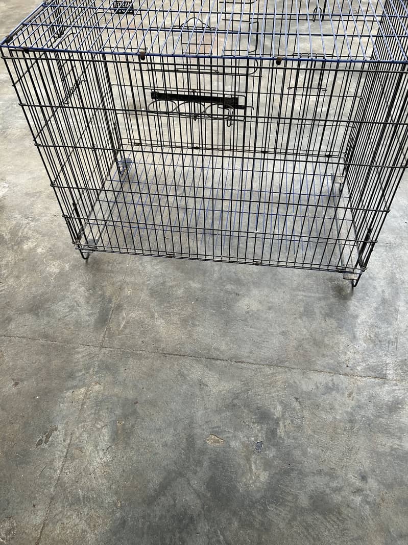 Master cage 1