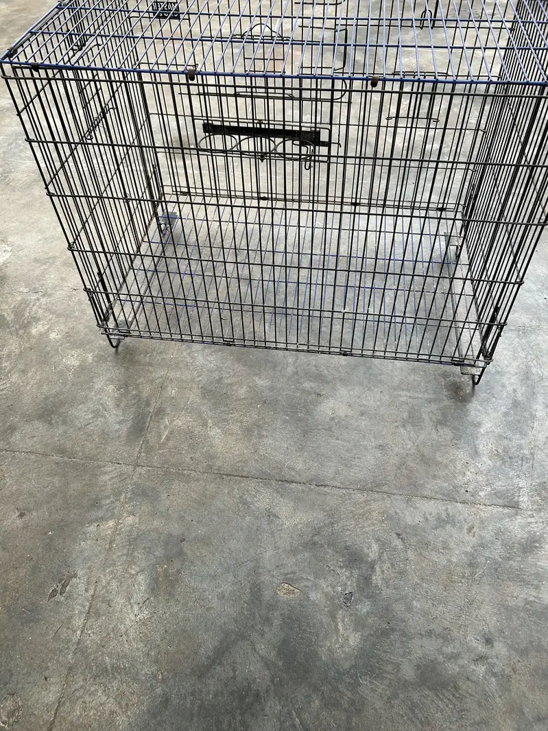 Master cage — photo 2