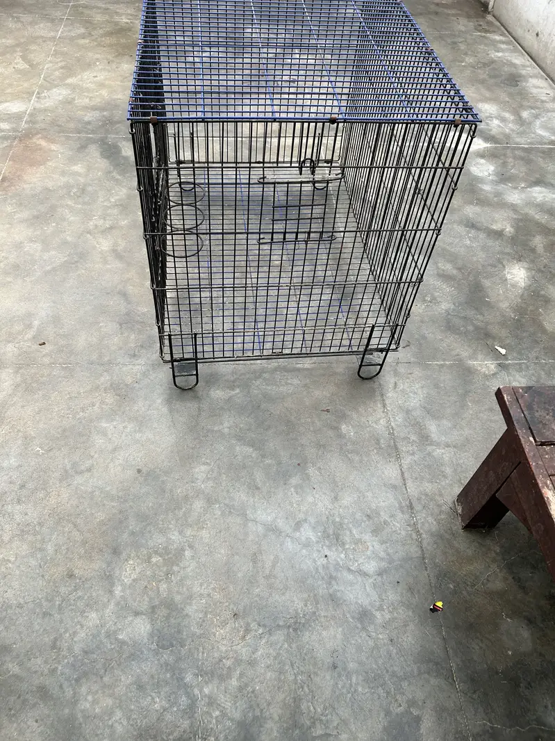Master cage — photo 4