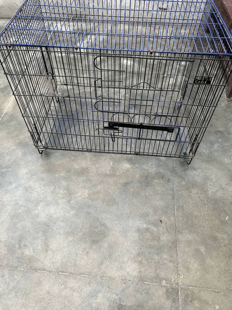 Master cage 4