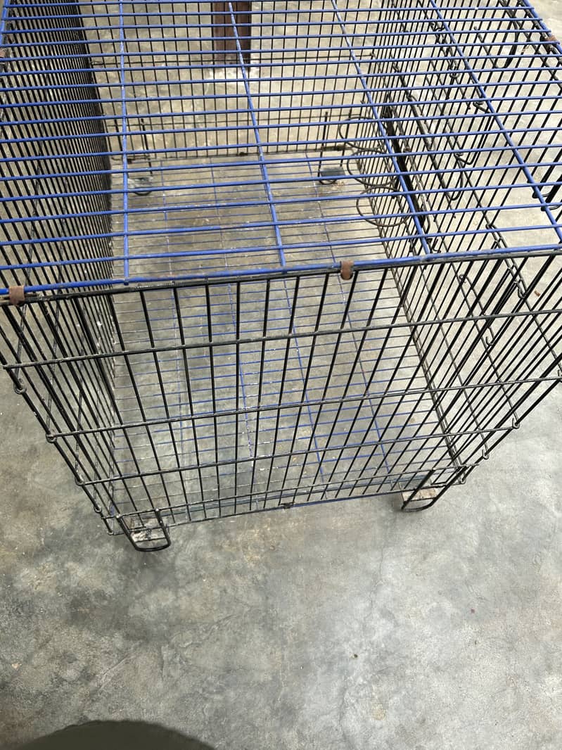 Master cage 5
