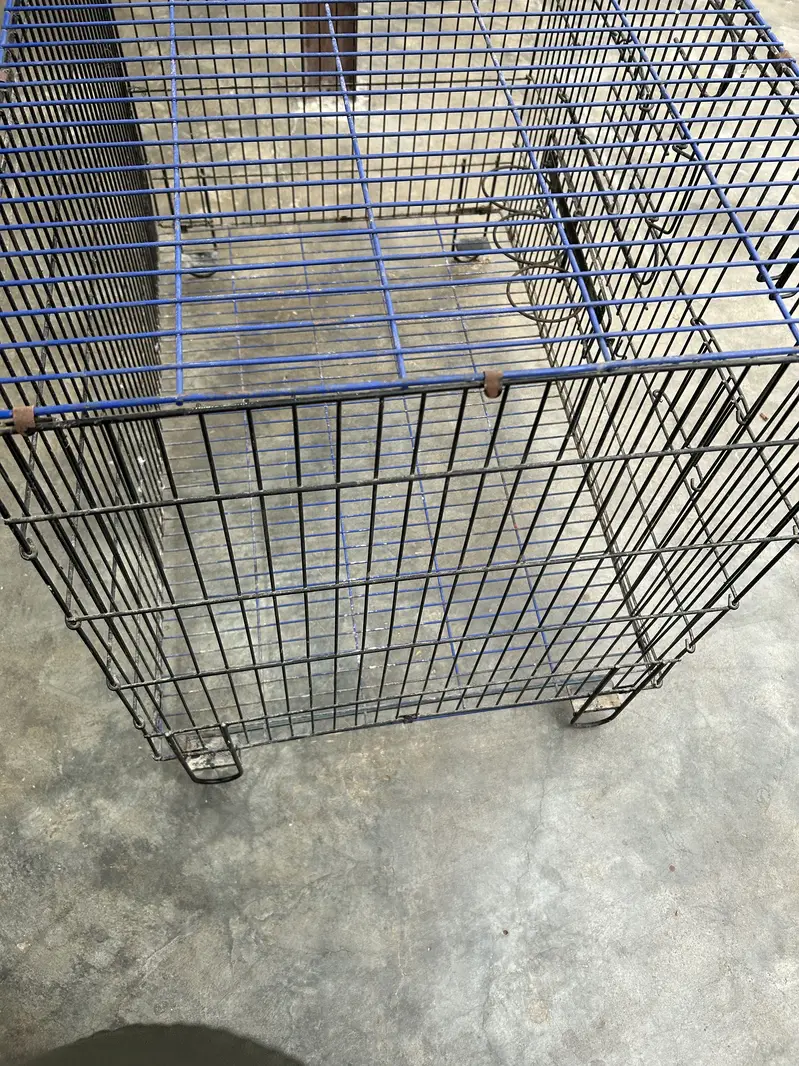 Master cage — photo 6