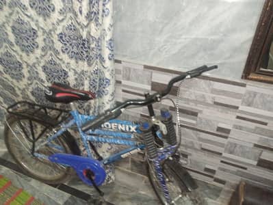 Phoenix Heavy-Duty Bicycle for Sale