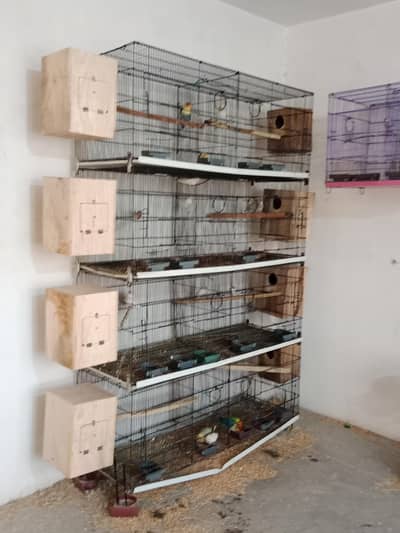 8 portion cage