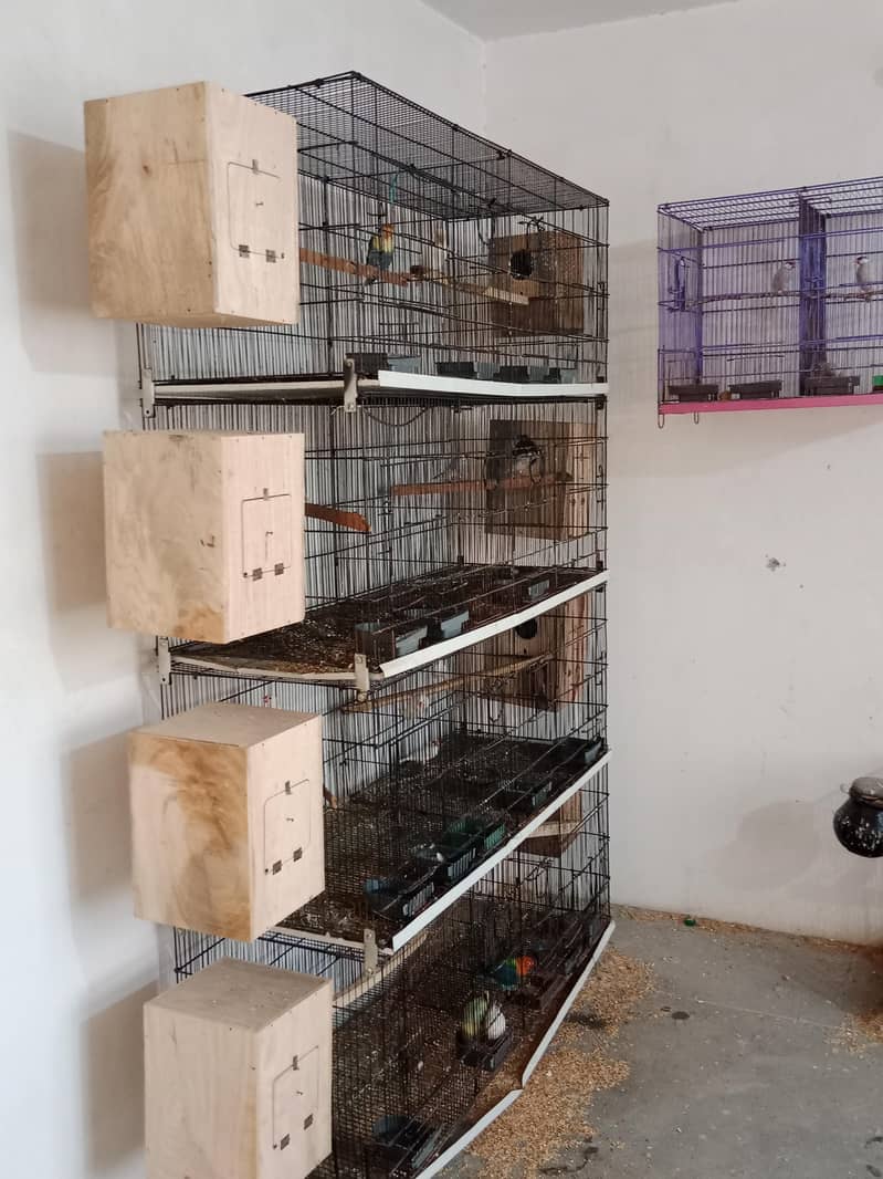 8 portion cage 1