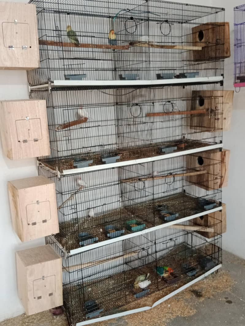8 portion cage 2