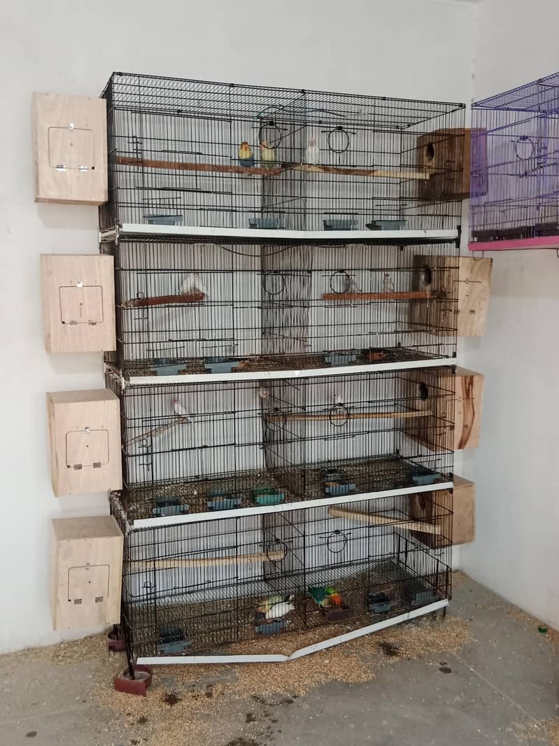 8 portion cage 3