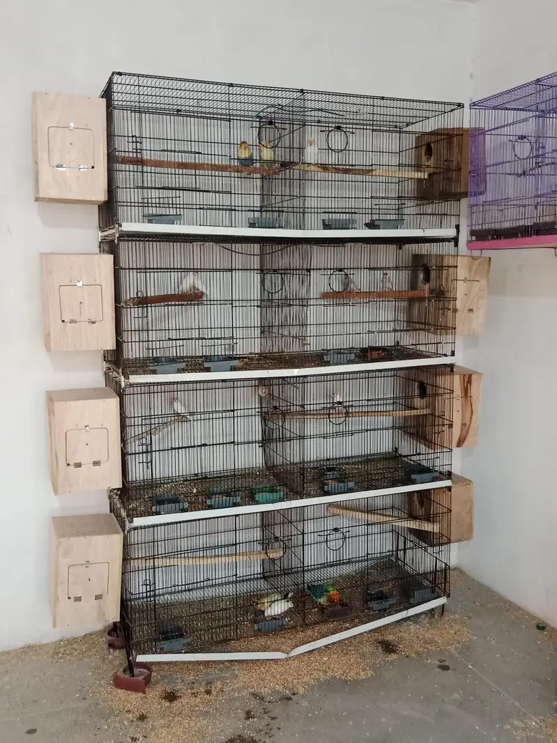 8 portion cage — photo 4