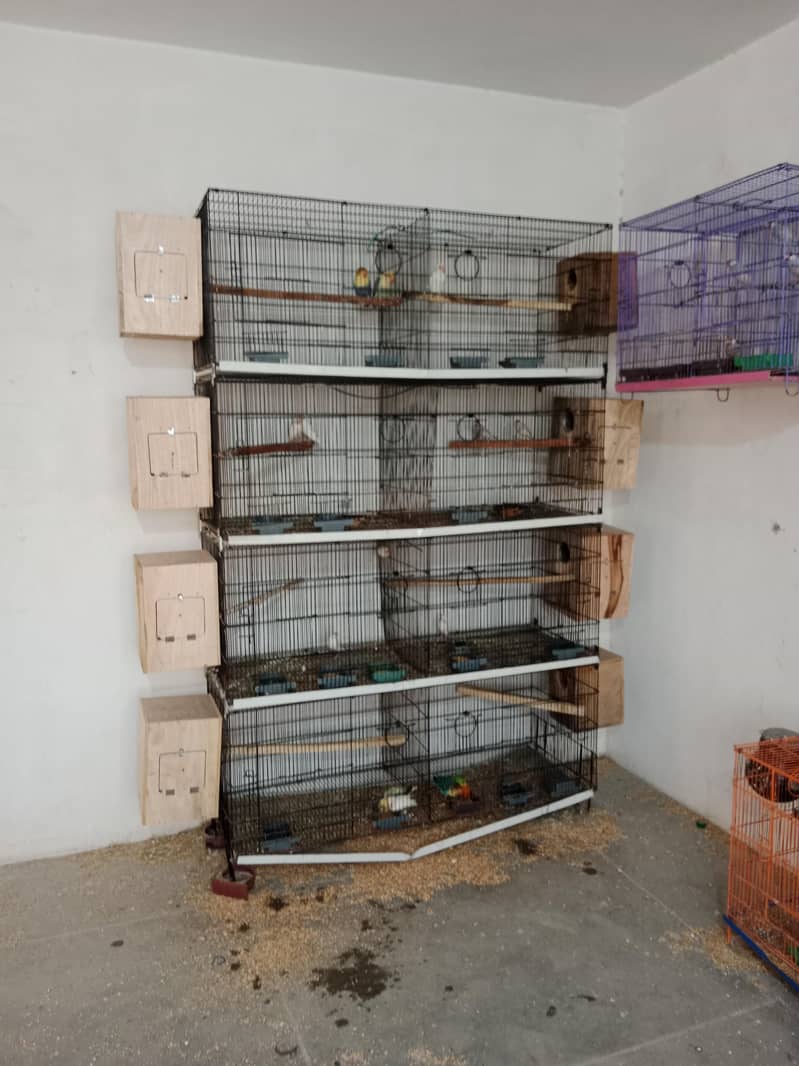 8 portion cage 4