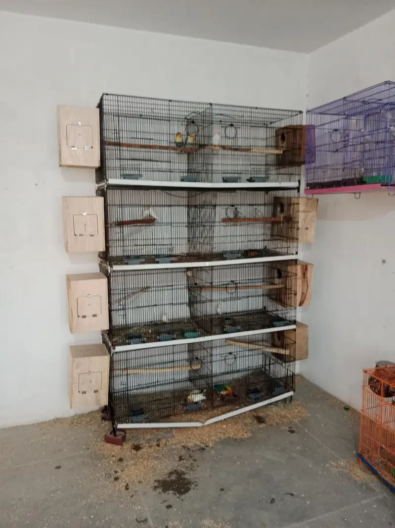 8 portion cage — photo 5