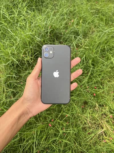 IPhone 11 PTA APPROVED
