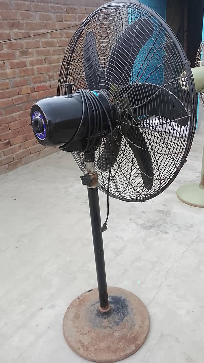 table fan 1
