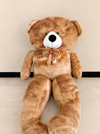 teady Bear