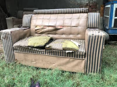 6 seater