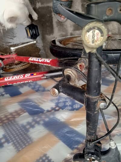 phoenix cycle original Saman k sth