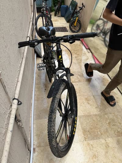 Cycle old