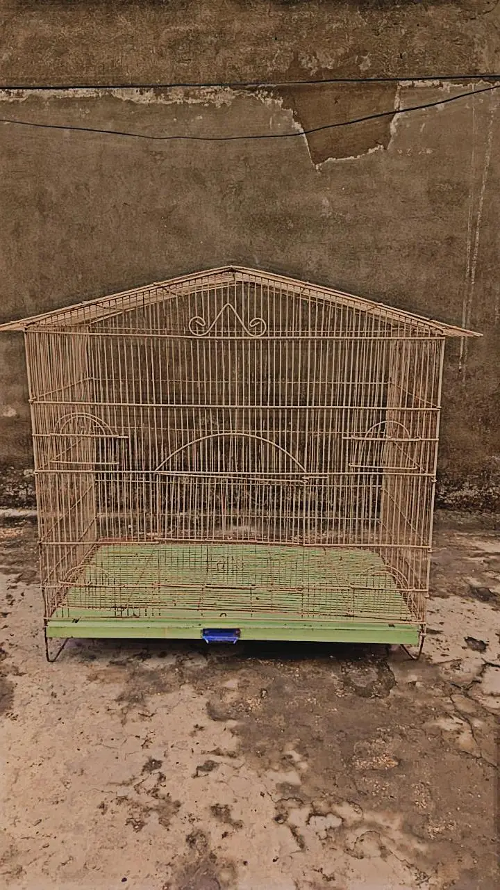 big size high quality Cage Best Cage For birds pairing — photo 2