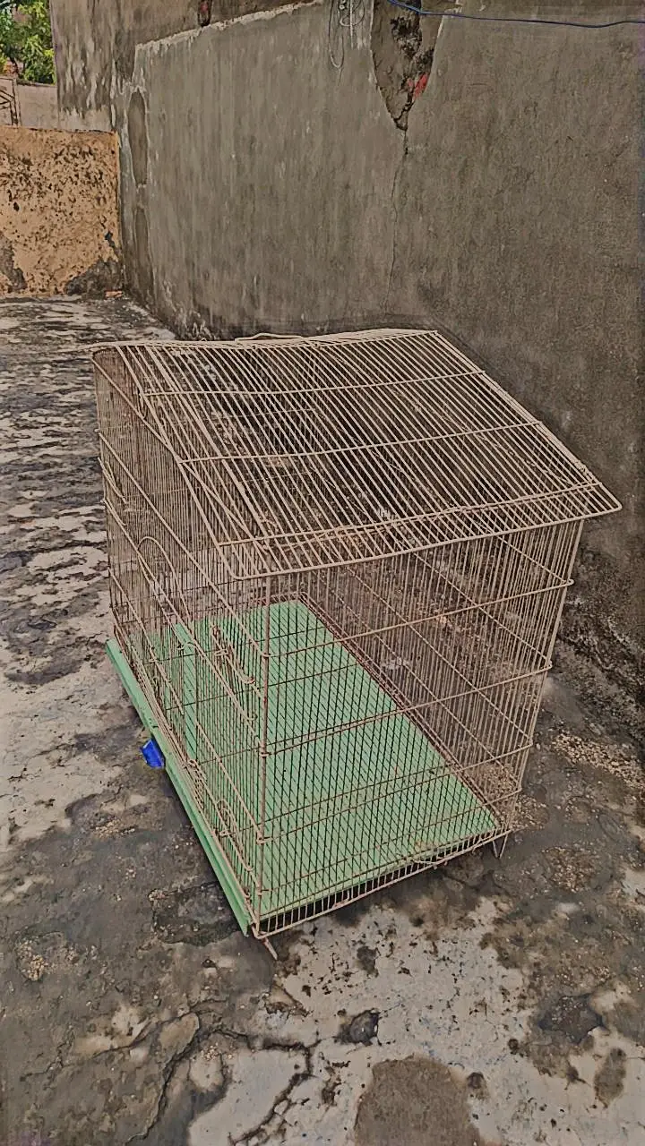 big size high quality Cage Best Cage For birds pairing — photo 3