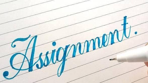 Professional Assignment writer & Data entry 1