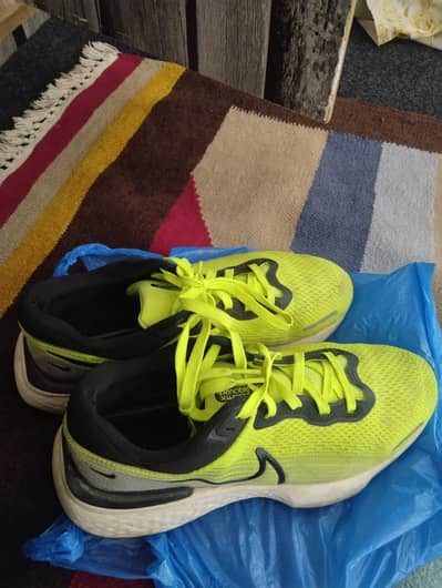 Nike zoom invincible run