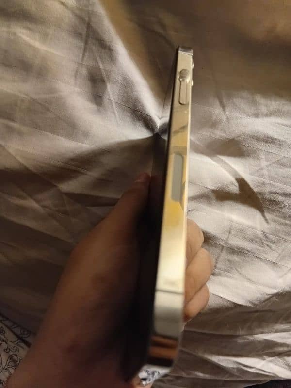 iphone 12 Pro 1