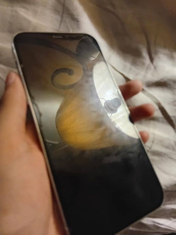 iphone 12 Pro 3