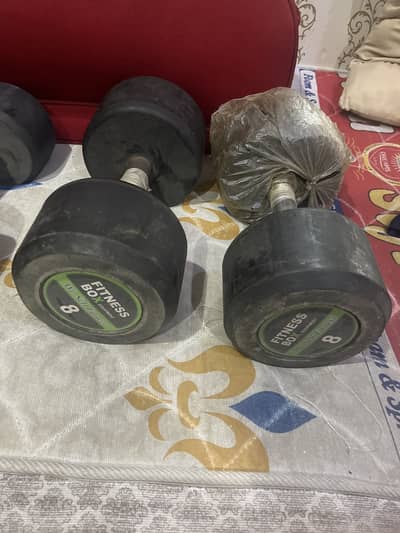 8kgs dumbbell (2)