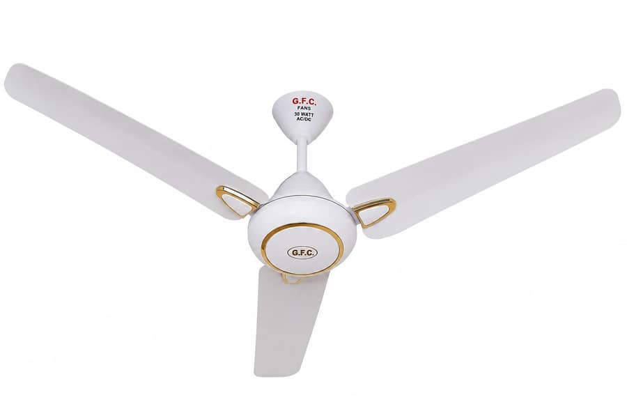 Ravi plus model Size56 0