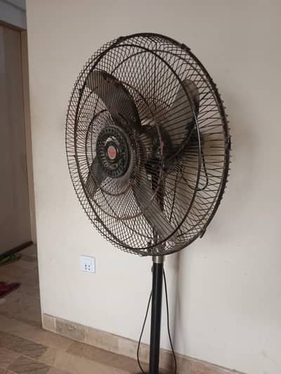 Royal Pedestal Fan