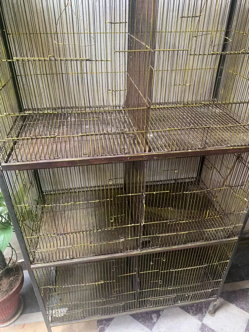 Bird Cage for sale — photo 2