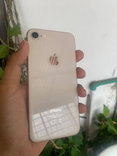 I phone 8
