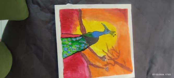 peacock drawing on canvas