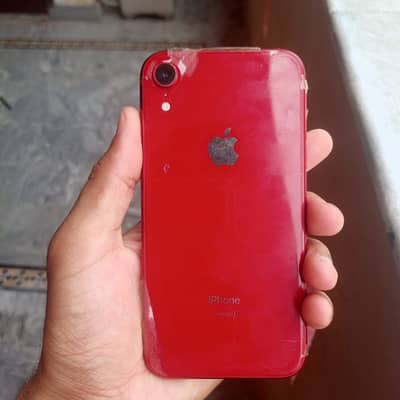 iPhone XR Jv