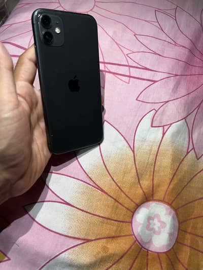 iPhone 11 PTA approved