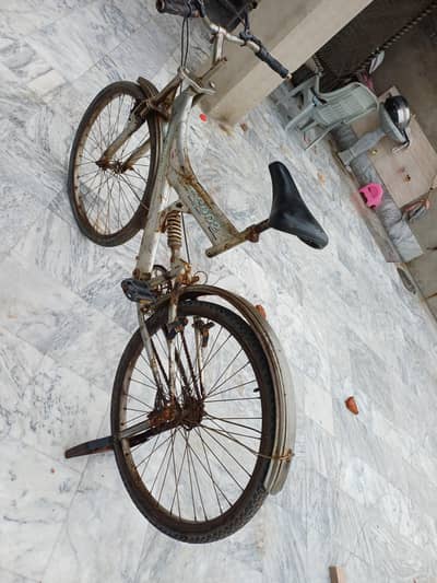By-Cycle