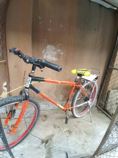 gaint cycle