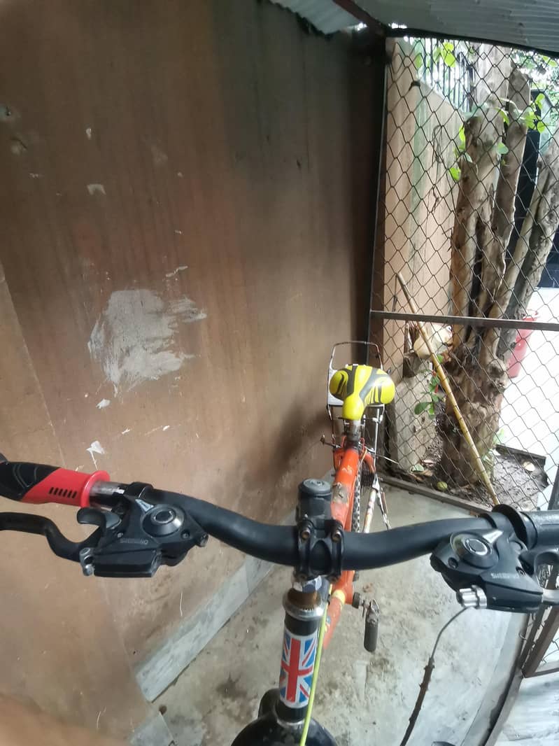 gaint cycle 3