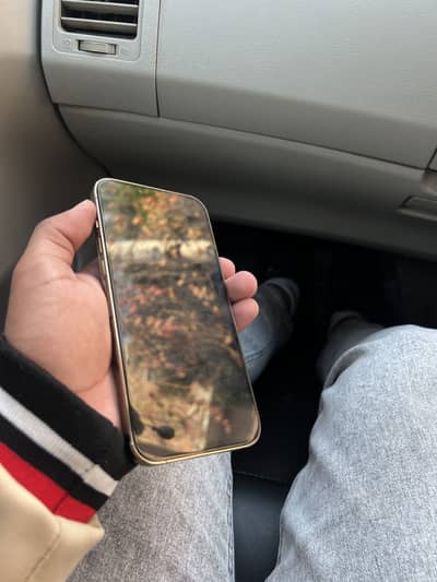 Apple iPhone 13 Pro Max (256GB)