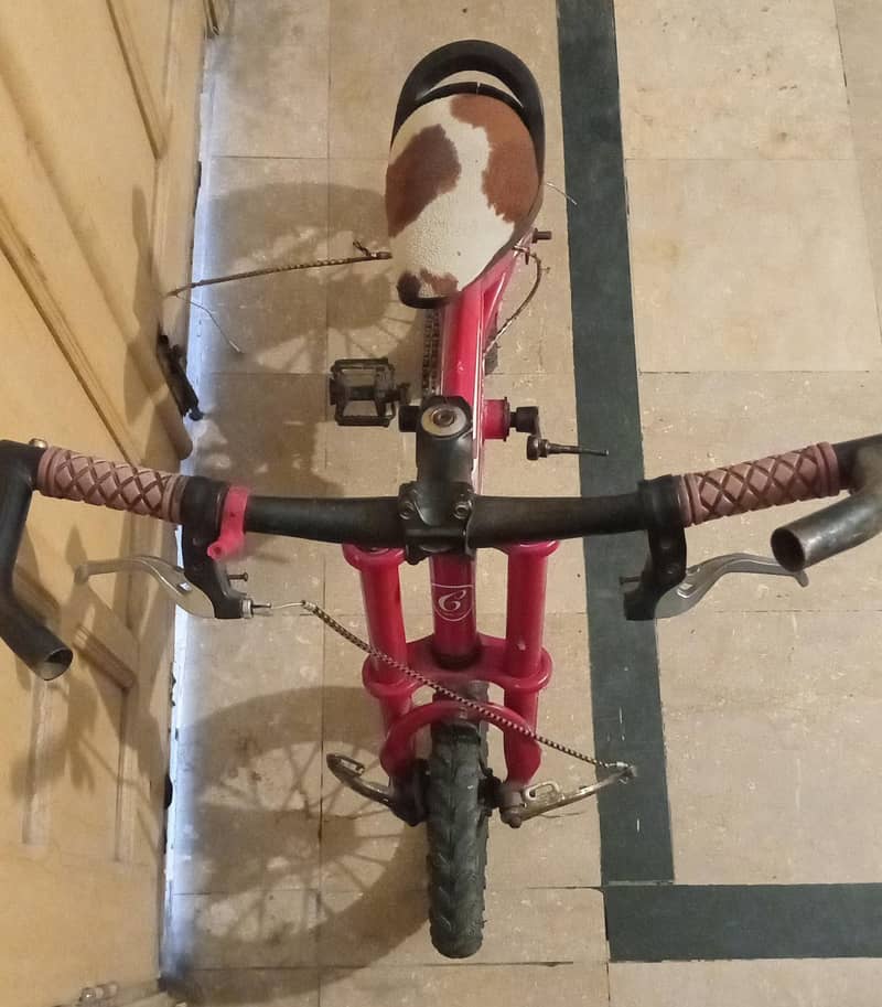 bicycle 1