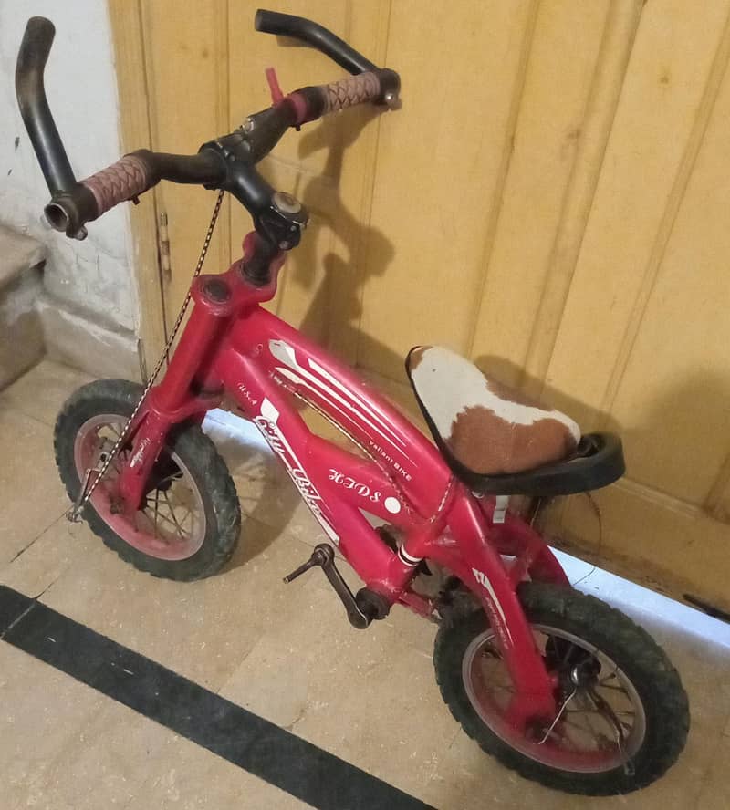 bicycle 2