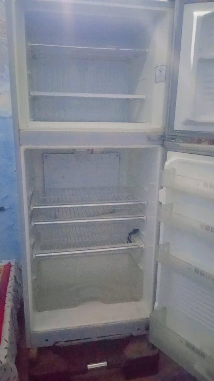 freezer 6