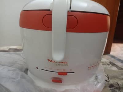 deep fryer