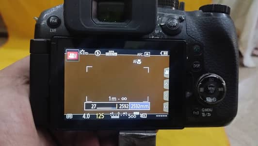 Lumix DMC-FZ300