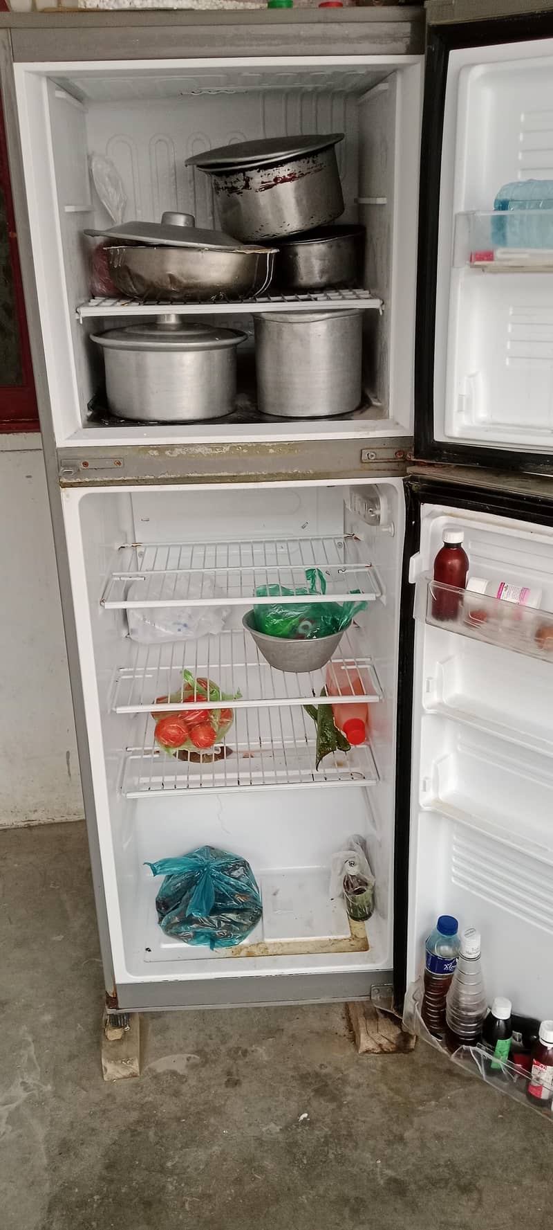 fridge 6