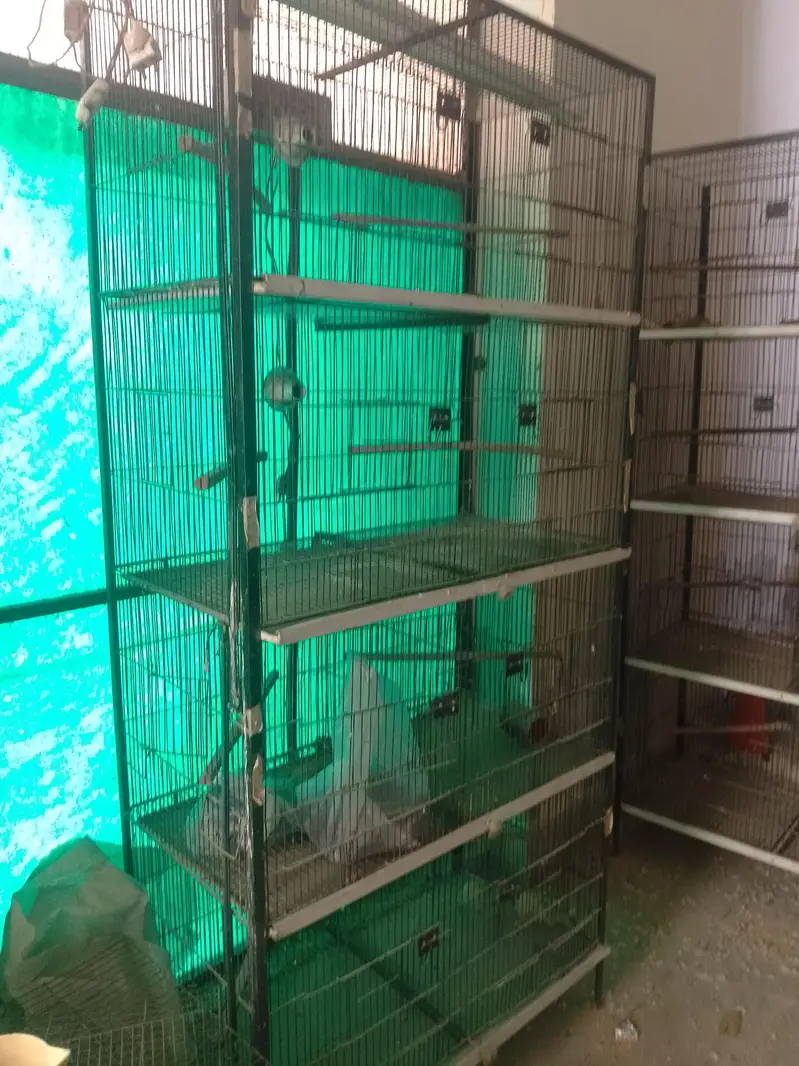 Birds Cage — photo 2