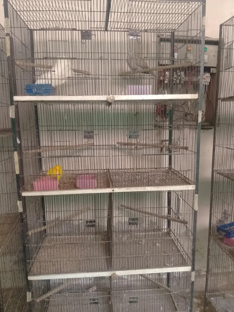 Birds Cage — photo 5