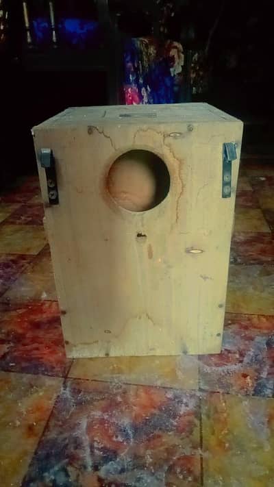 Love birds boxes