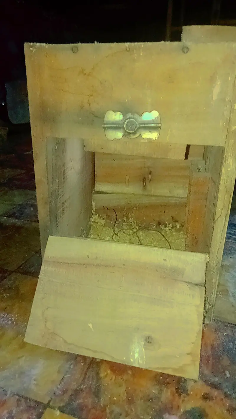 Love birds boxes — photo 2