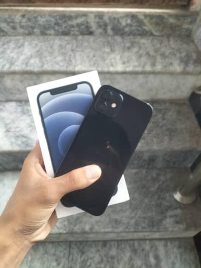 Apple iPhone 12